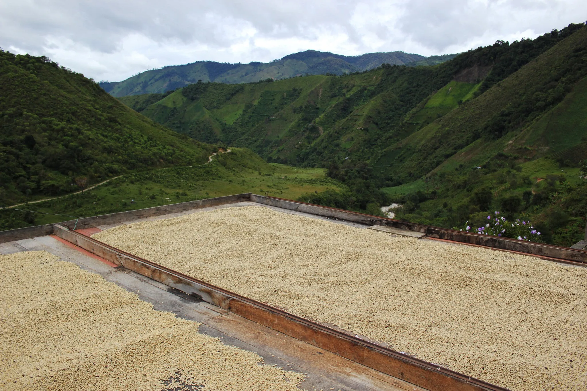 COLOMBIA // EL MERIDIANO