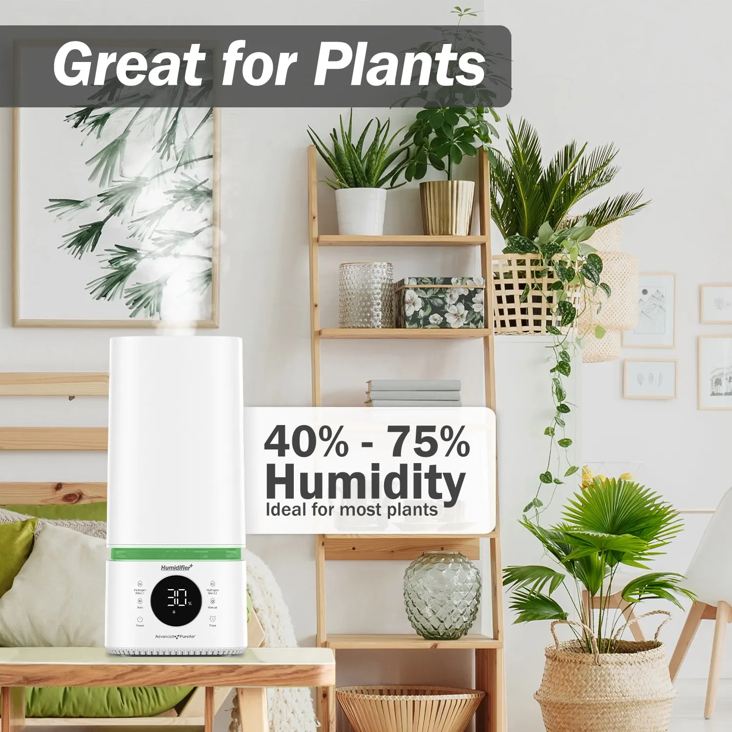 Humidifier  | Antioxidant Humidifier